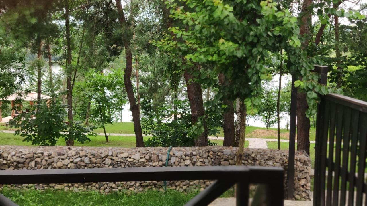 Воллен Zhvanets Exteriör bild