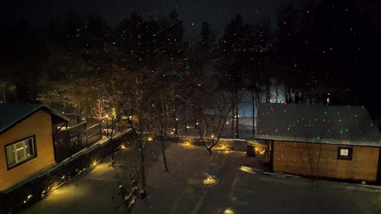Воллен Zhvanets Exteriör bild