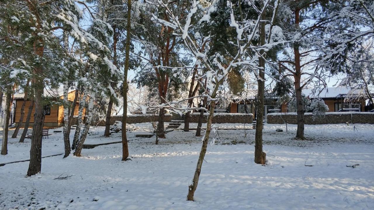 Воллен Zhvanets Exteriör bild
