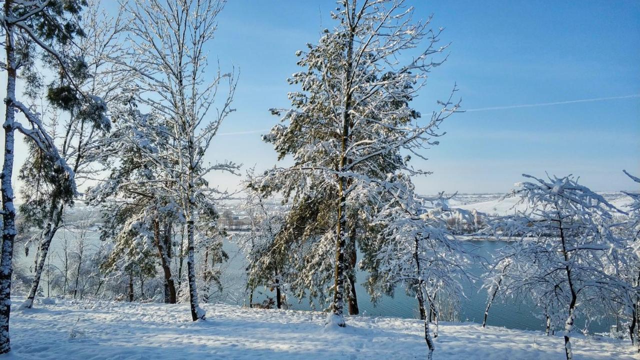 Воллен Zhvanets Exteriör bild