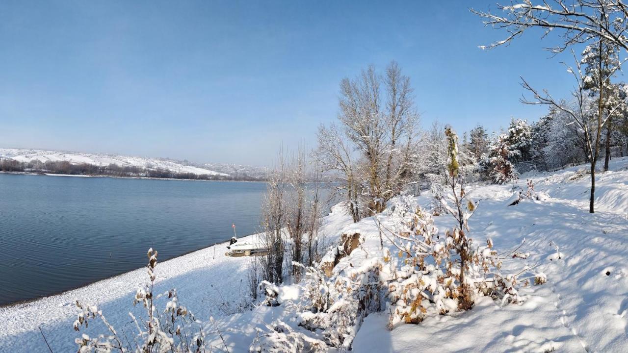 Воллен Zhvanets Exteriör bild